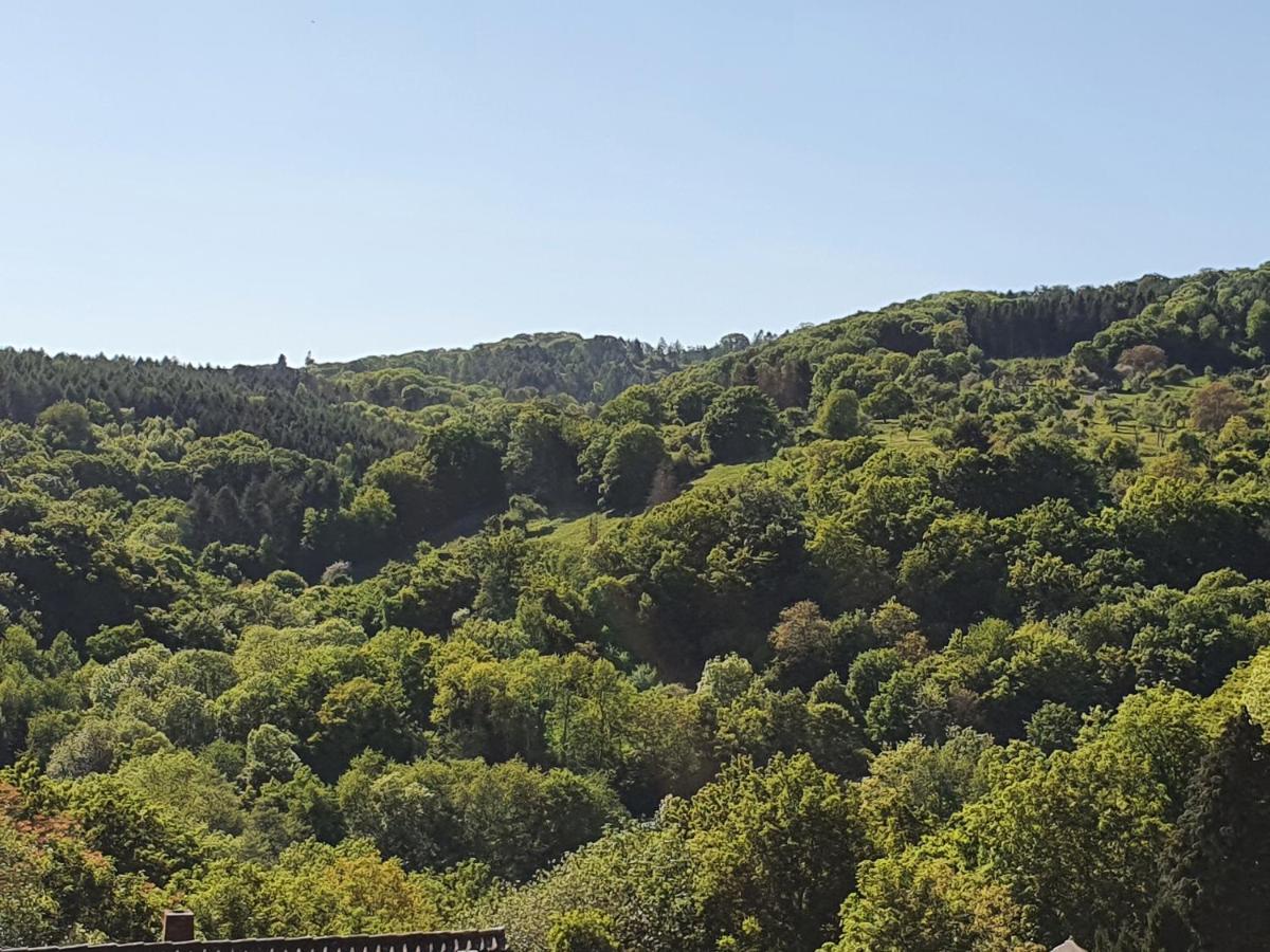 Die grüne Oase am RheinSteig 2 ZKBuWC Neuwied Exterior foto